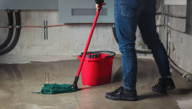 Best Emergency water damage restoration  in Sullivan, IL