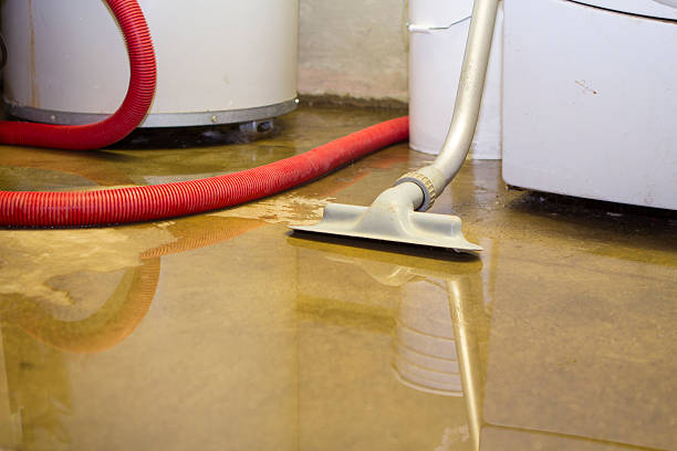 Best Flood damage cleanup  in Sullivan, IL