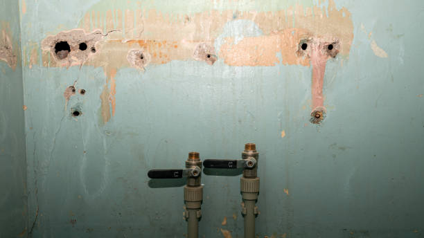 Best Water damage cleanup near me  in Sullivan, IL