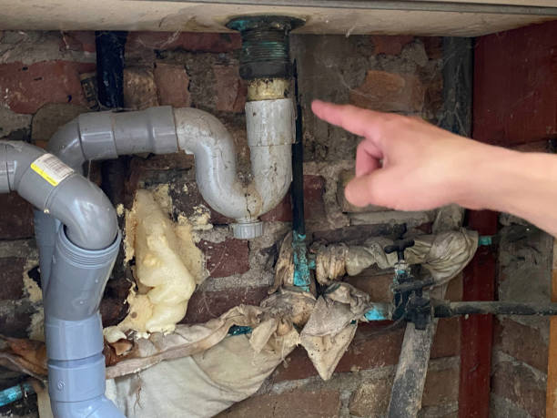 Best Carpet water damage restoration  in Sullivan, IL
