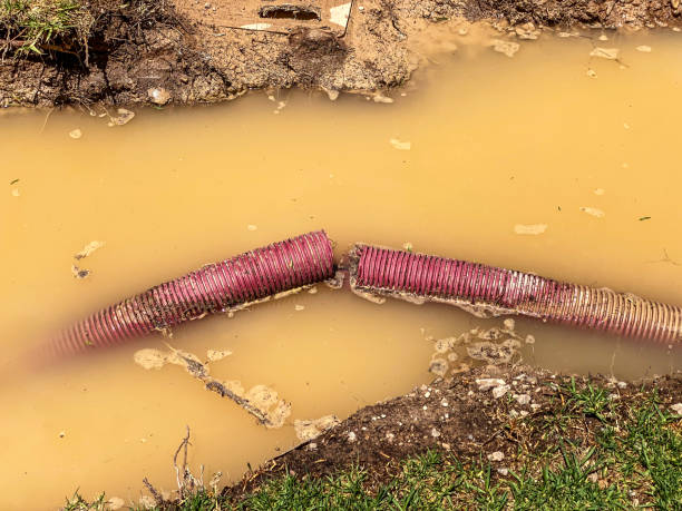 Best 24-hour water damage restoration  in Sullivan, IL