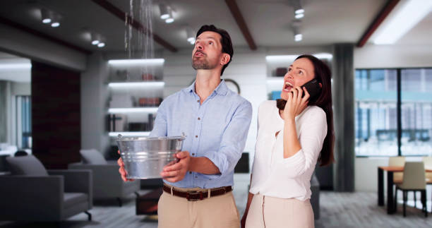 Trusted Sullivan, IL Water damage restoration Experts